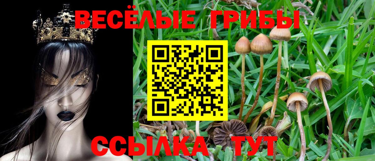 Галлюциногенные грибы мицелий Набережные Челны