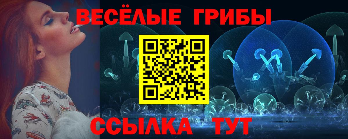 Псилоцибиновые грибы MAGIC MUSHROOMS  Вход с VPN  закладка  Набережные Челны 